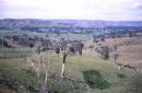 Countryside, Victoria State